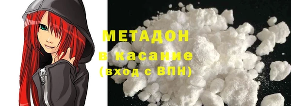 прущие грибы Бородино