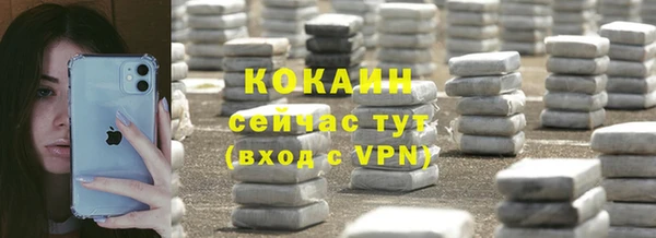 прущие грибы Бородино
