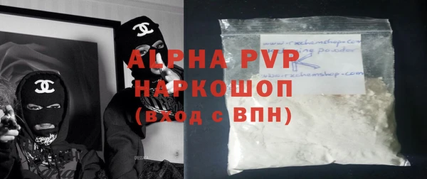 прущие грибы Бородино
