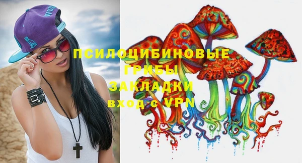 прущие грибы Бородино