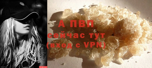 дживик Богданович