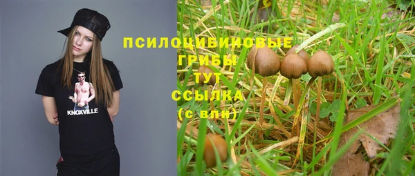 кокс Богородицк