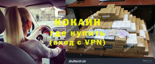 прущие грибы Бородино