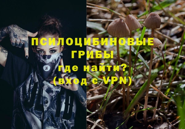дживик Богданович