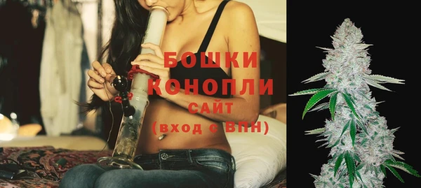 ПСИЛОЦИБИНОВЫЕ ГРИБЫ Белоозёрский